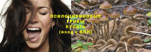 MDMA Premium VHQ Ладушкин