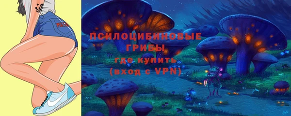стаф Алексеевка